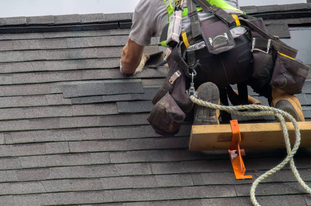 Roof Gutter Cleaning in Antioch, CA