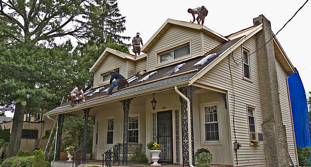 Best Roof Gutter Cleaning  in Antioch, CA